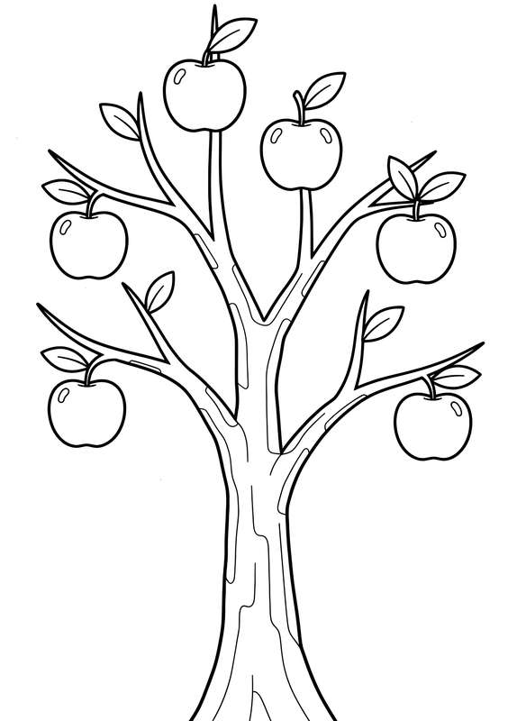 First Harvest Apple Tree