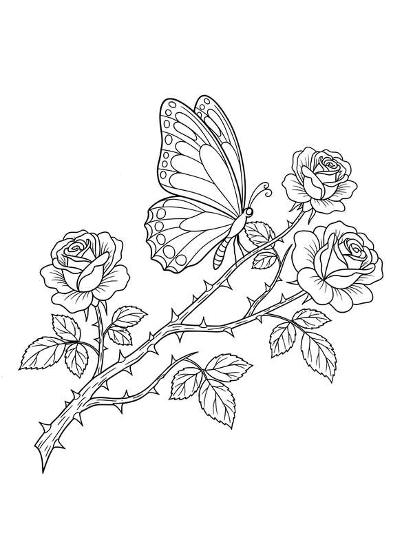 Peaceful Butterfly Rose Branch