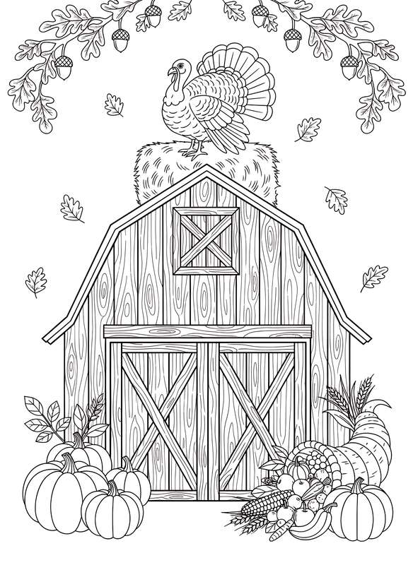 Rustic Barn Wood Planks