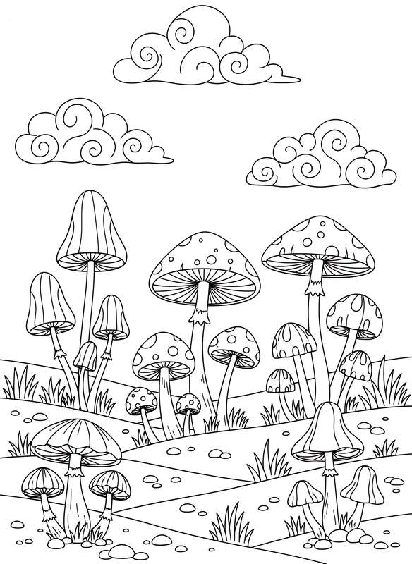 Simple Serene Mushroom Field