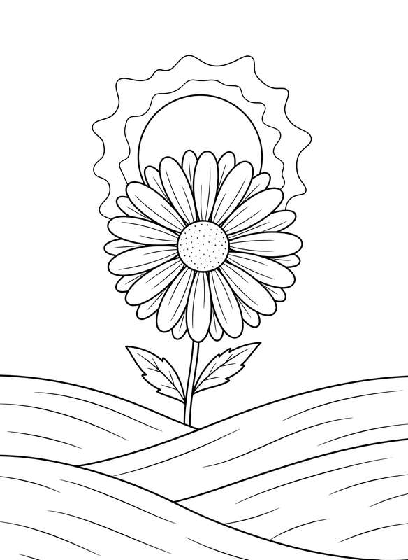12 Free Daisy Coloring Pages