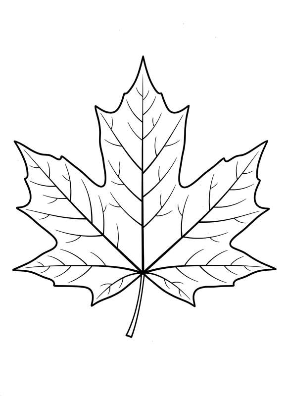 Nature's Detail: Majestic Maple Leaf