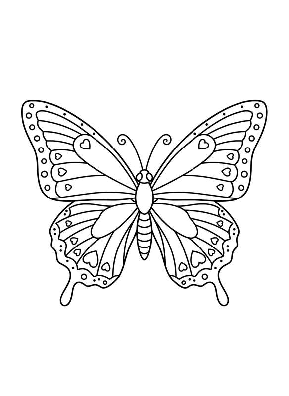 Beginner's Bold Beauty