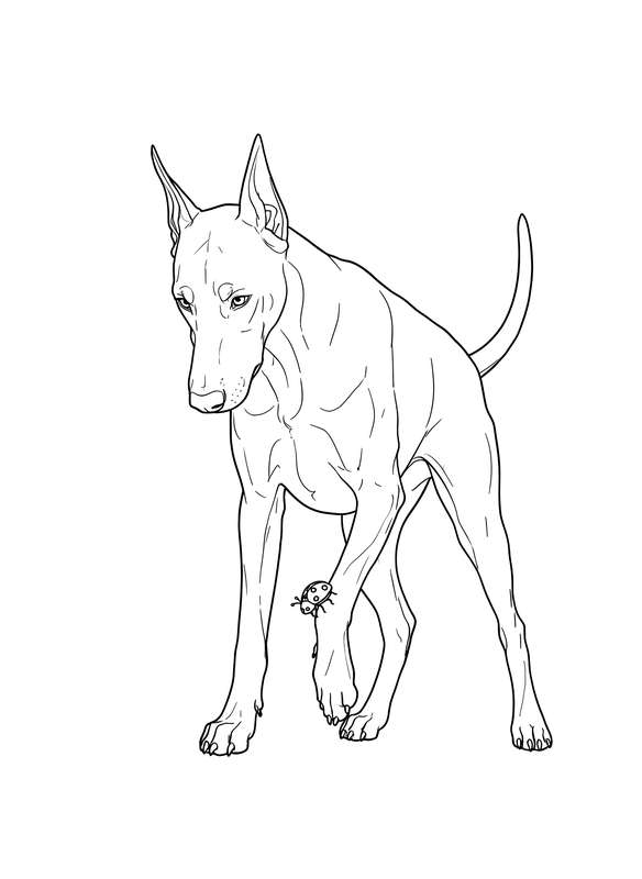 Doberman and the Tiny Traveler