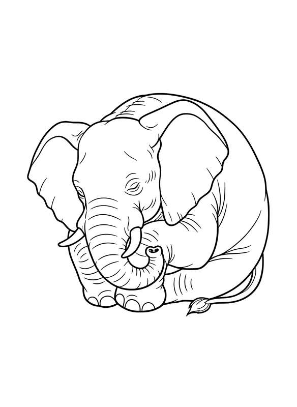 Curled Up Peaceful Sleeper