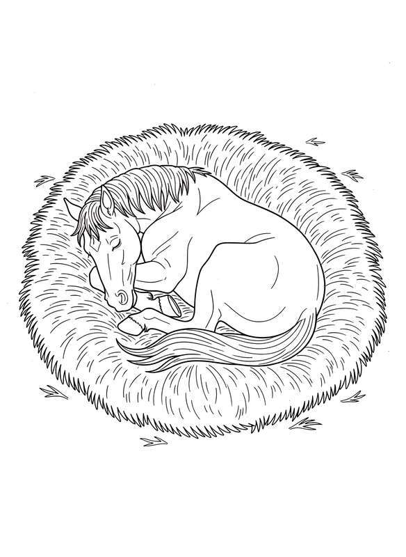 Cozy Hay Bed Sleepy Time