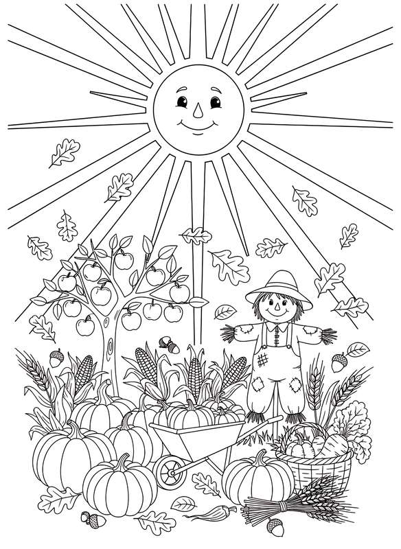 Shining Sun Over Harvest