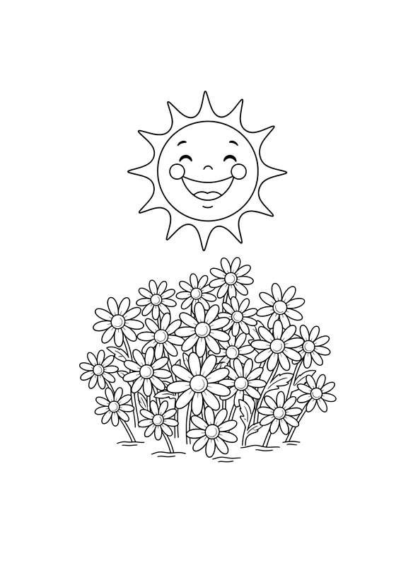 Smiling Sun and Soft Daisy Shadows