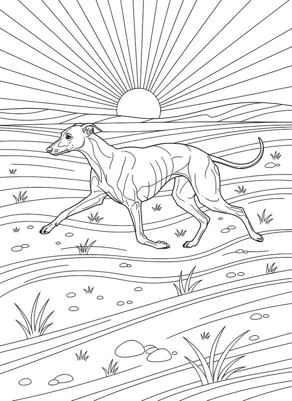 Whippet's Wind-Blown Dash