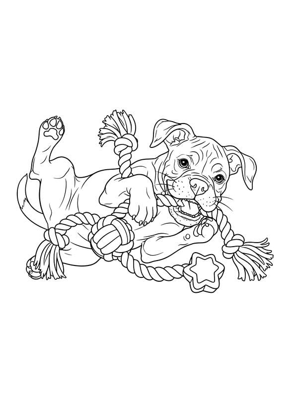 Puppy Tangle with Rope Toy