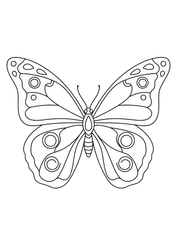 Majestic Blue Morpho Canvas