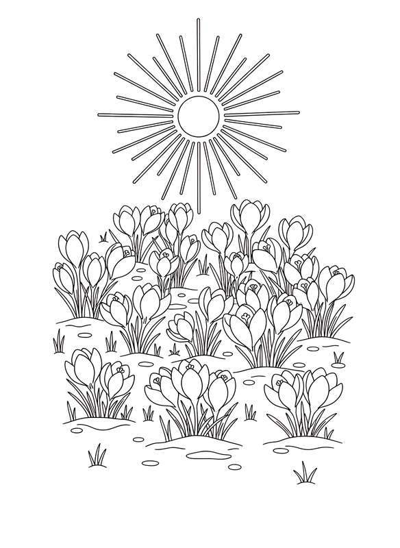 Sunny Crocus Awakening