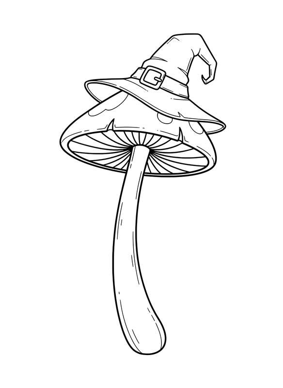 The Dapper Witch's Hat Fungi