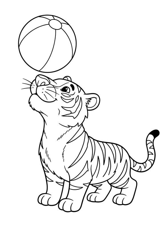 Beach Day Balance Act