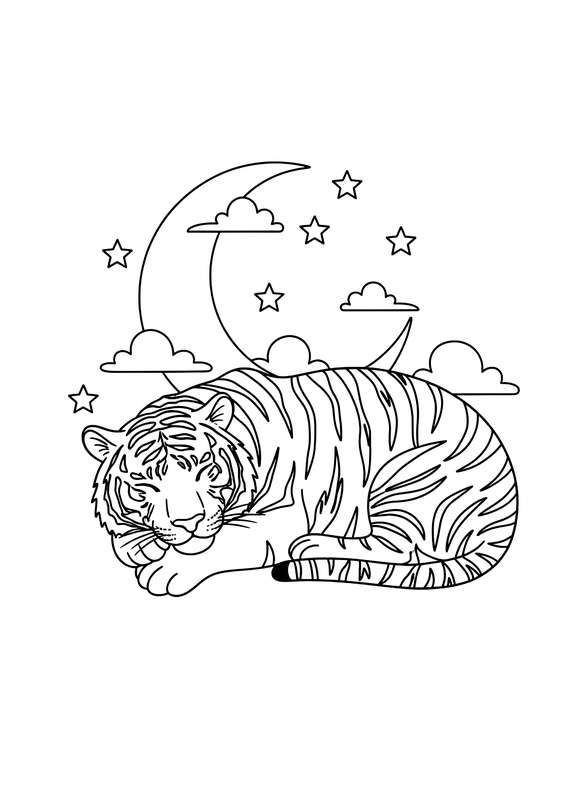 Moonlit Slumber: Night Out