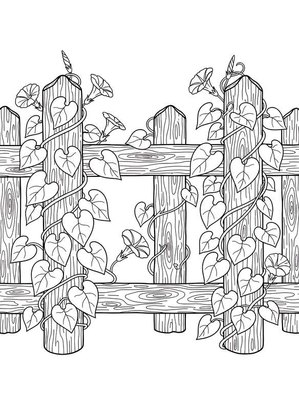 Morning Glories on the Fence