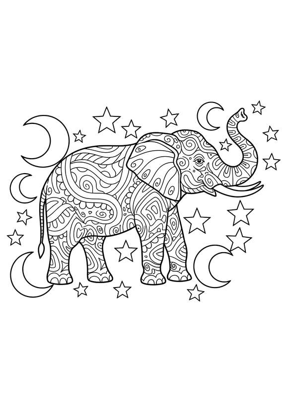 Midnight Sky Elephant Dream