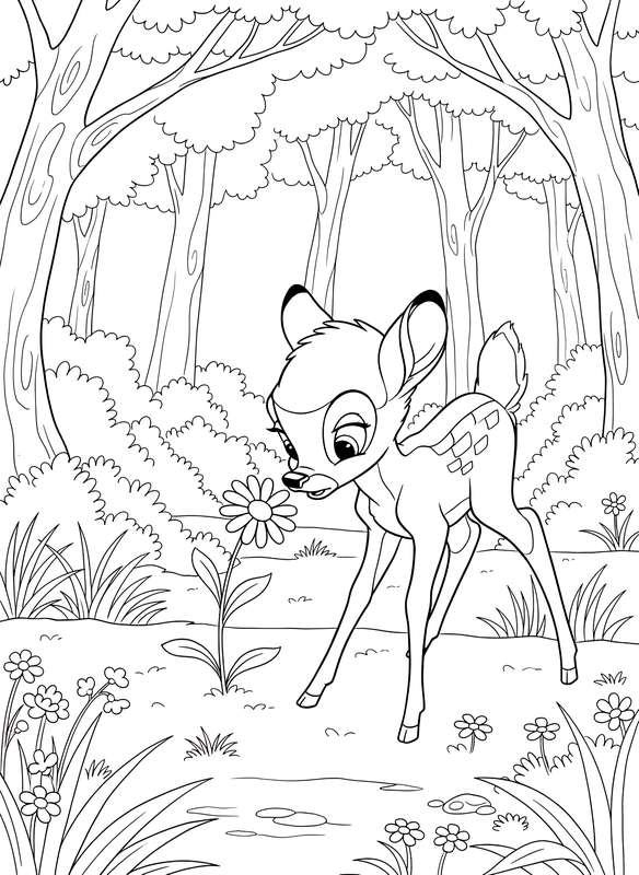 Bambi's Daisy Discovery