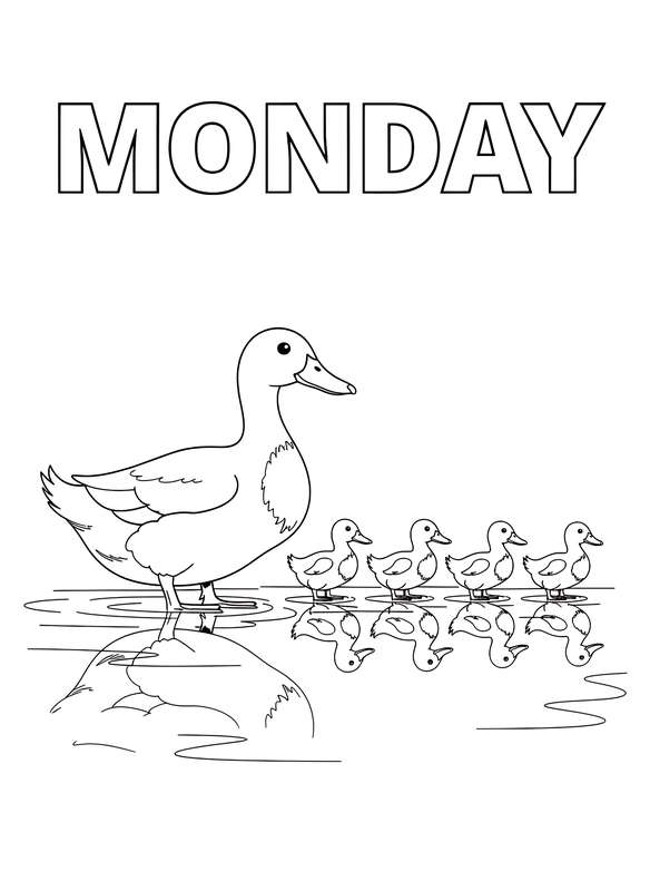 Pond Serenity: Gentle Monday Ducks