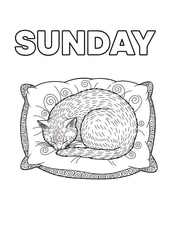 Cozy Sunday Nap Time Delight