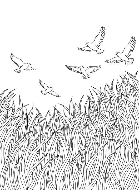 Silhouettes Over Tall Grass