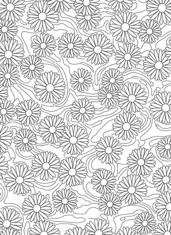 Floating Petals on Still Pond Water