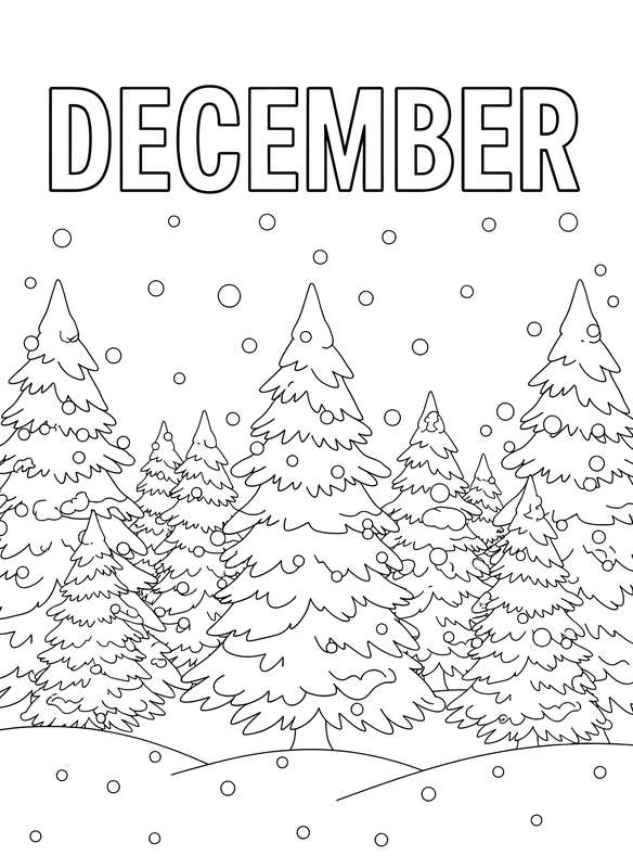 Softly Falling Snow on Pines