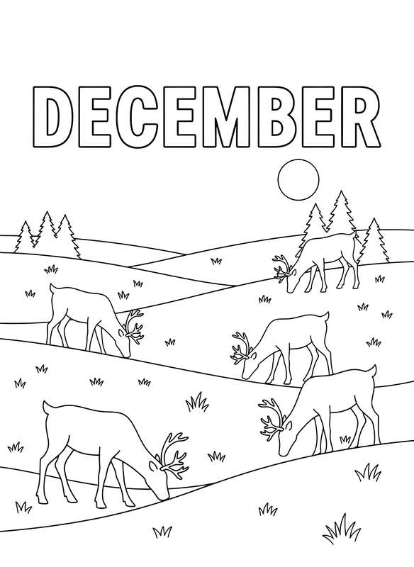 Grazing Reindeer Field Silhouettes