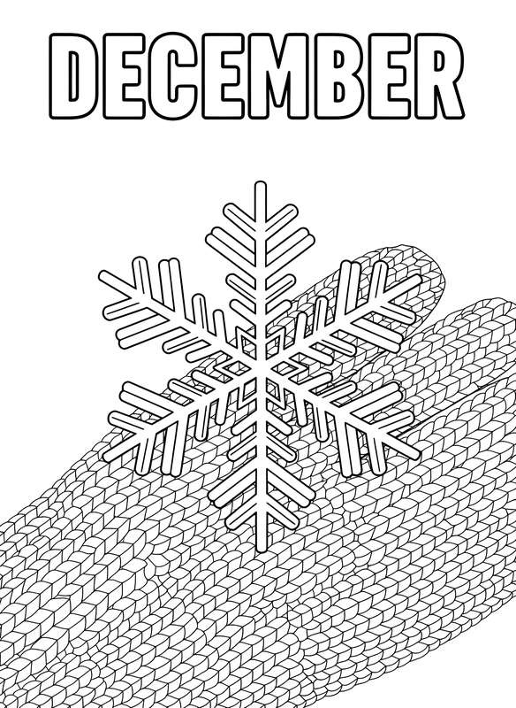 December's Icy Masterpiece: Single Snowflake
