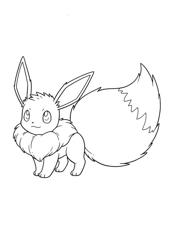 Eevee's Fluffy Tail Display