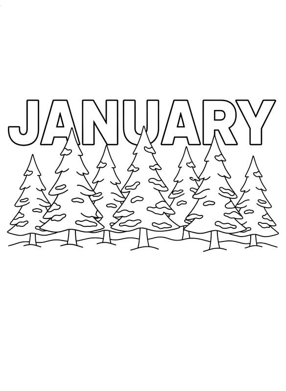 Pine Frost: January Forest Edge