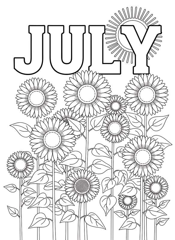 Golden Hour Blooms: Sunny July Field