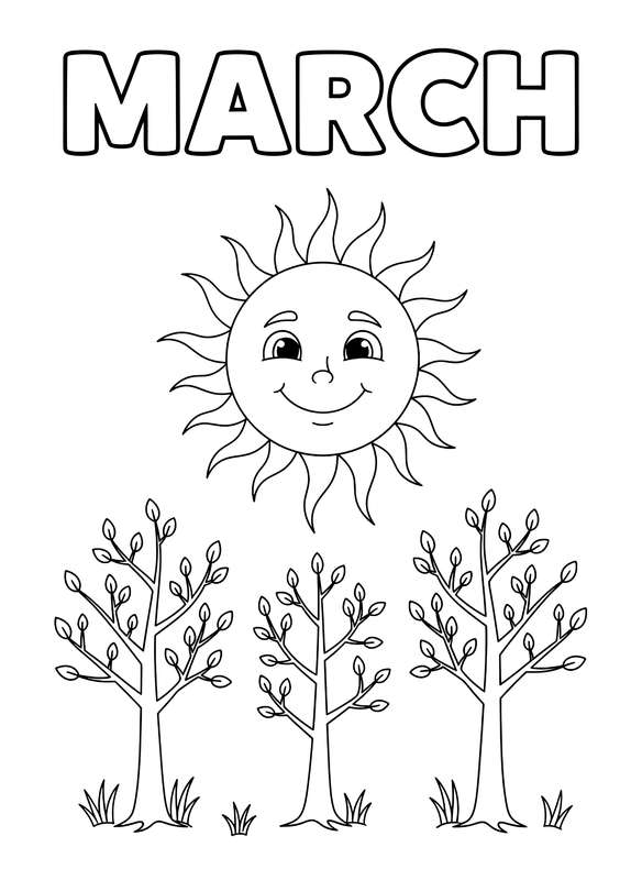 Sunny Days and Budding Branches