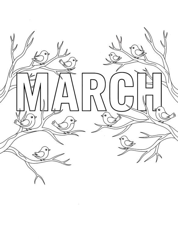 Chirping Birds on Bare Boughs