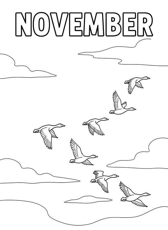 Geese Flying South: November Sky