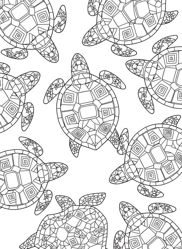 Geometric Turtle Shell Patterns