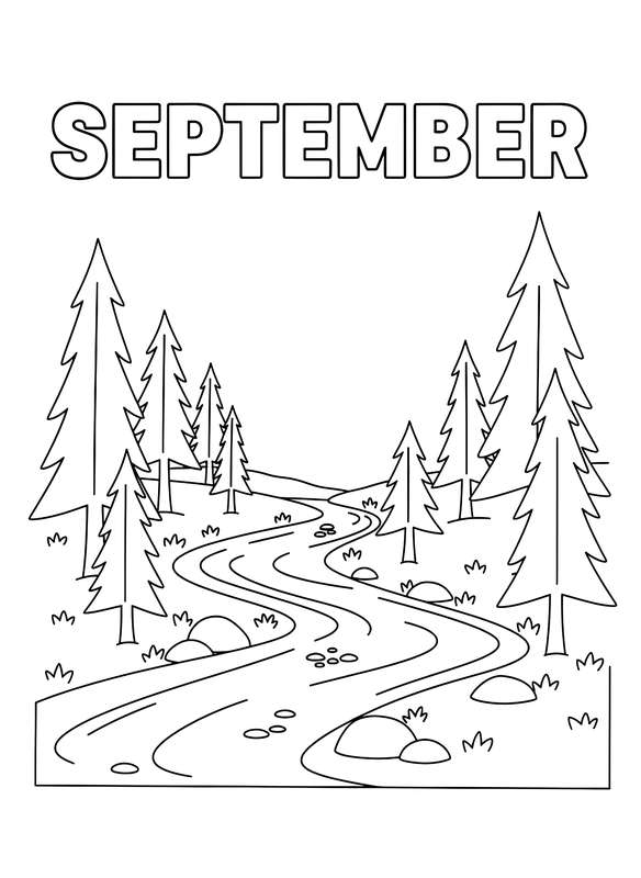 Tranquil Stream in Pine Forest