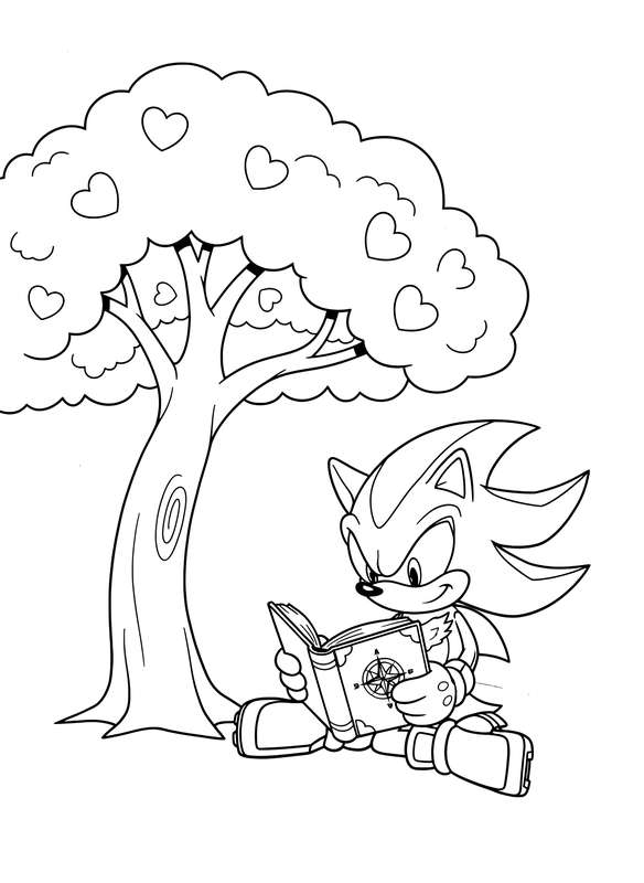 Shadow's Quiet Reading Nook