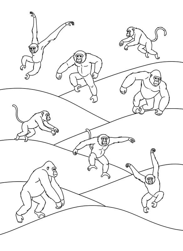 Primate Silhouettes at Sunset Trail