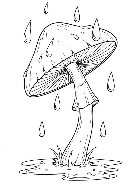 Elegant Forest Parasol Ready