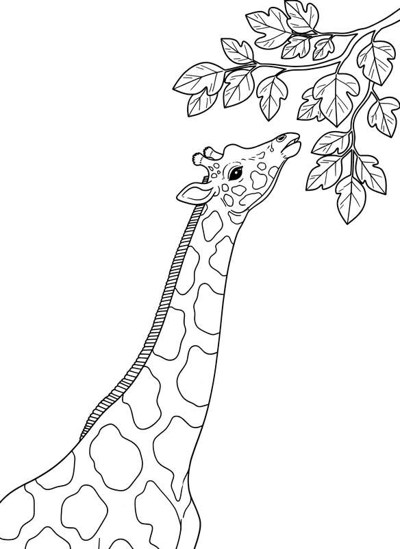 Reaching for the Highest Green