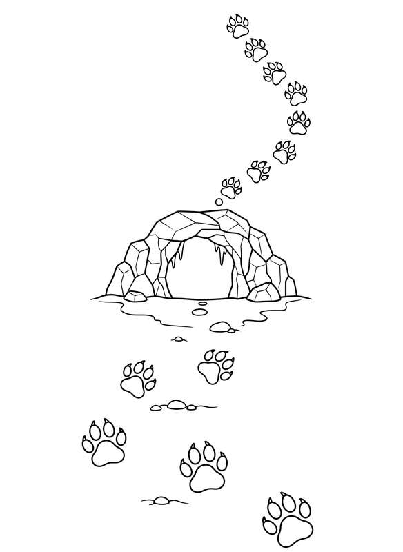 Following the Paw Path