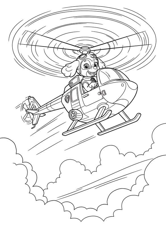 Skye Soaring High in Flight