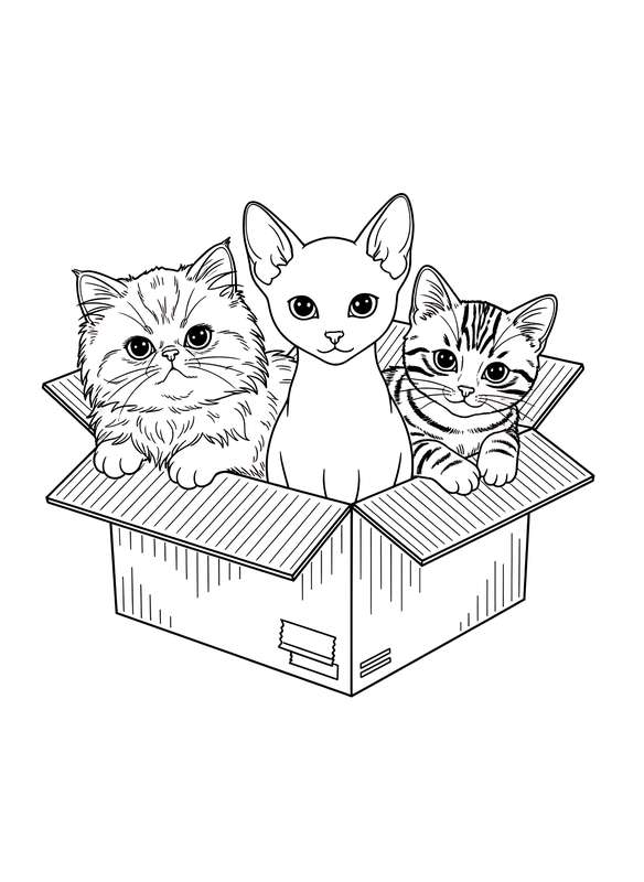 Box Buddies: Three Tiny Travelers