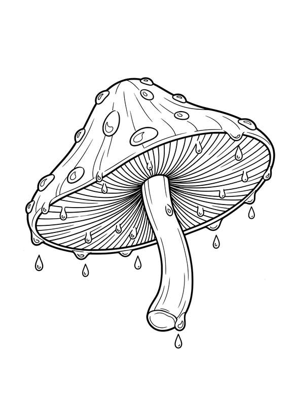 Dewy Gilled Mushroom Hang